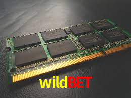 Programa VIP wildbet